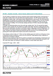 Daily Morning Summary Report